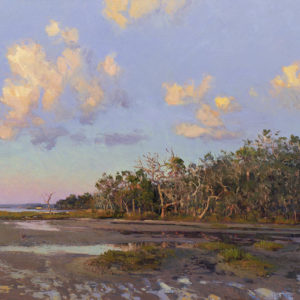 Shoreline Sunset
