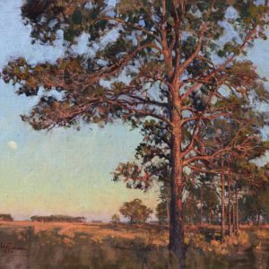 Santee Coastal Reserve