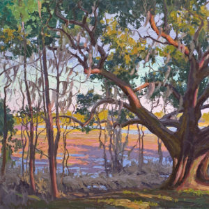 Beautiful Veil, Cooper River