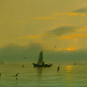 Seabirds and Fishermen