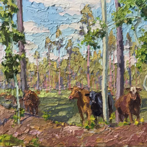 Cows in the Pines