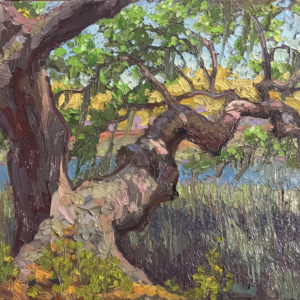 Live Oak Over Kiawah River