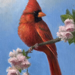Red Cardinal