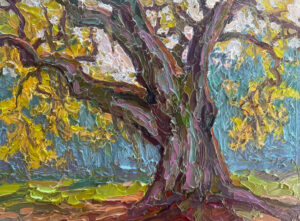 Live Oak, Late Afternoon