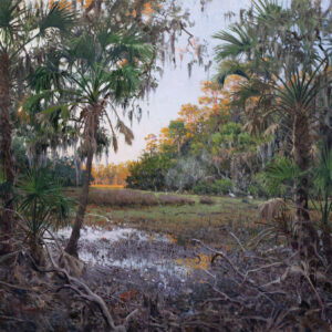 Shadow to Warm Light