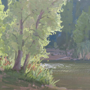 Evening Light at White Pines Lake