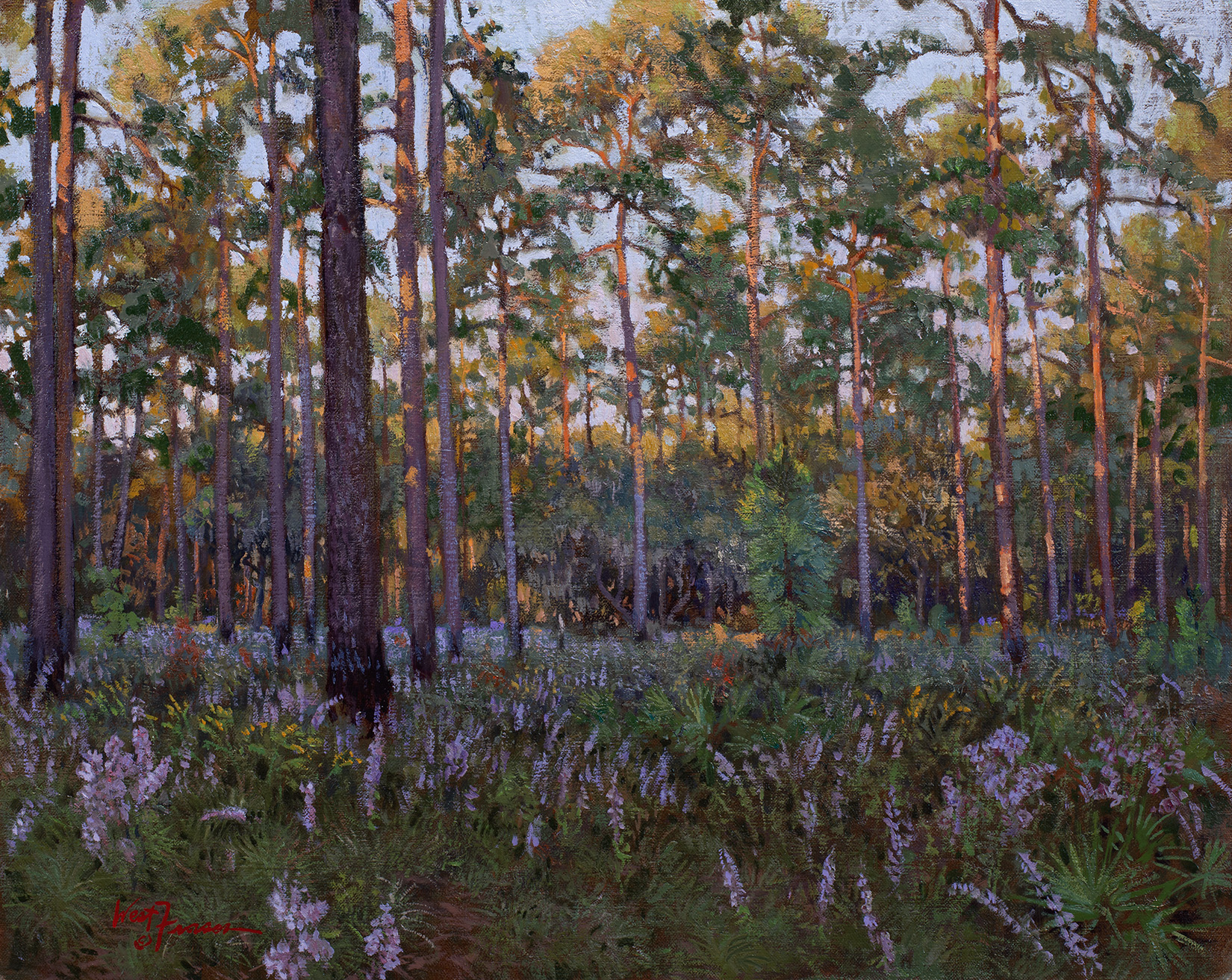 Blazing Star Amongst the Pines - Helena Fox Fine Art