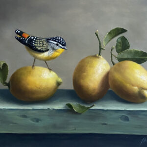 Spotted Pardalote and Lemons