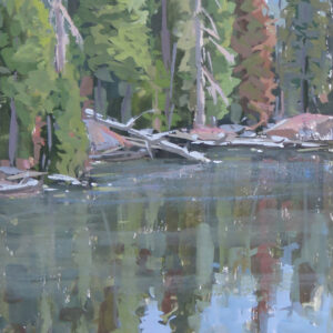 Afternoon Reflections