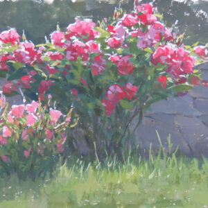 Monastery Roses