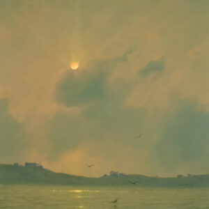 Afternoon Sun and Seabirds