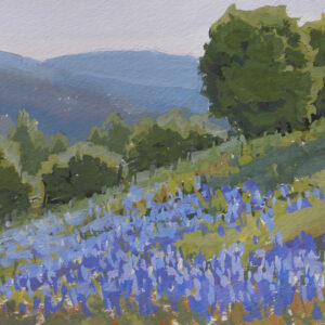 Spring in the Foothills