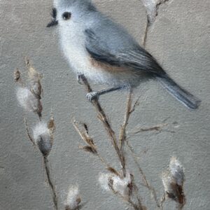 Titmouse and Pussywillow