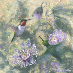 Hummingbird Passion