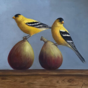 Figs and Finches