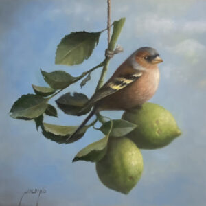 Keepers of the Limes